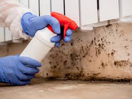 Best Mold Documentation for Insurance Claims  in Morristown, IN